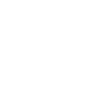 icône blanche camion fond transparent